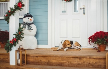 Home Equity Loans, Holiday House Hunting, Holiday Décor, LinkedIn Tips, and More