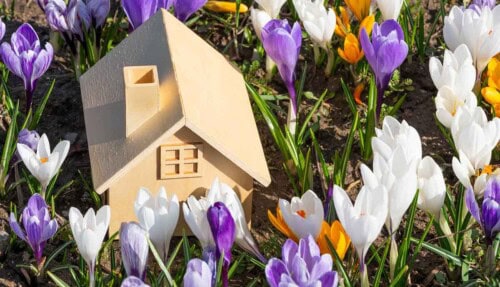 spring flowers surrounding home